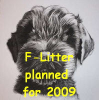 F-Litter
planned 
for 2009